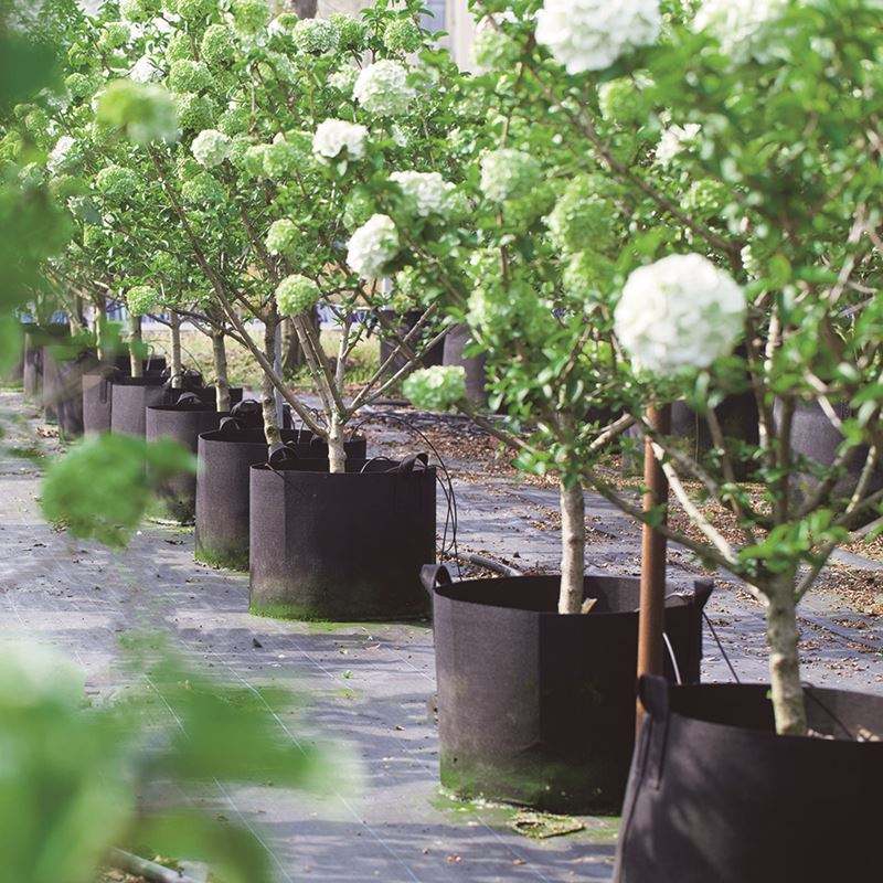 Breathable garden fabric grow bag for vegetables and flowers