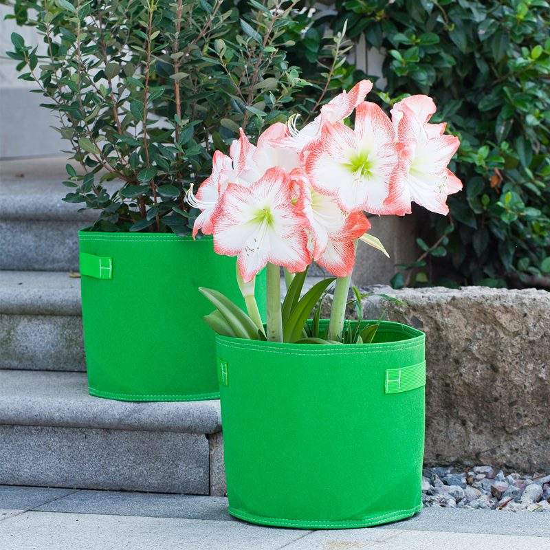 Breathable garden fabric grow bag for vegetables and flowers