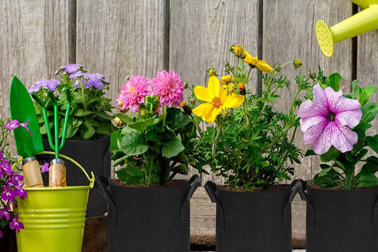 Garden fabric grow bag for vegetables and flowers