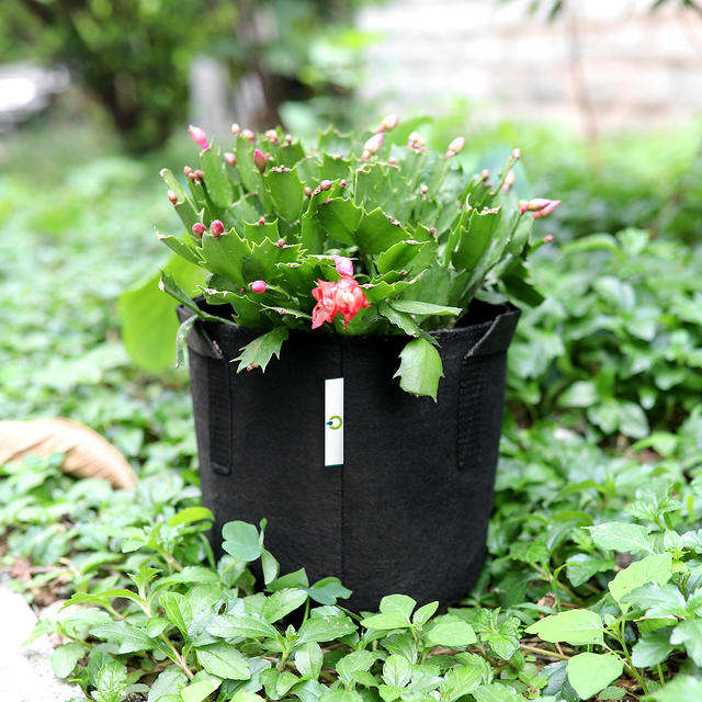 Garden fabric grow bag for vegetables and flowers