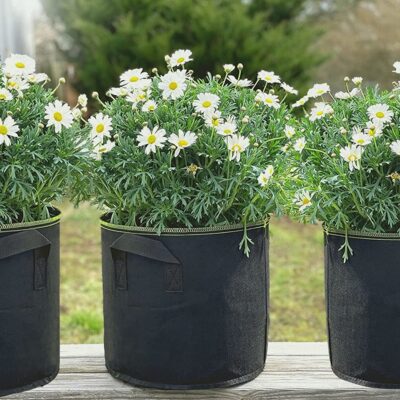 Garden fabric grow bag for vegetables and flowers