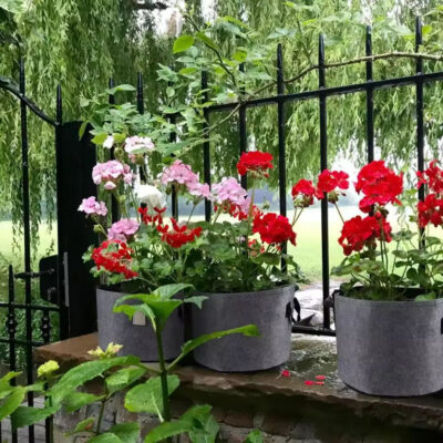 Eco-friendly garden vegetable fabric grow bag for home gardening