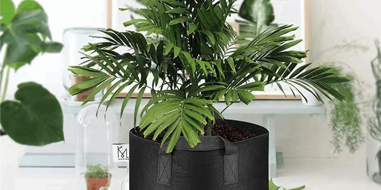 Eco-friendly garden vegetable fabric grow bag for home gardening