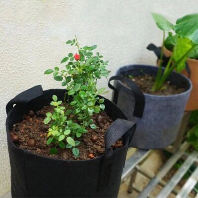 Eco-friendly garden vegetable fabric grow bag for home gardening