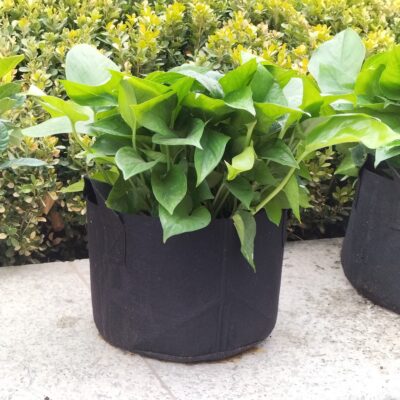 Eco-friendly garden vegetable fabric grow bag for home gardening