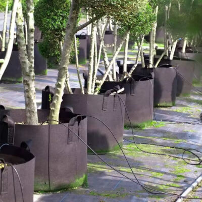 High-quality flower plant fabric grow bag for garden planting