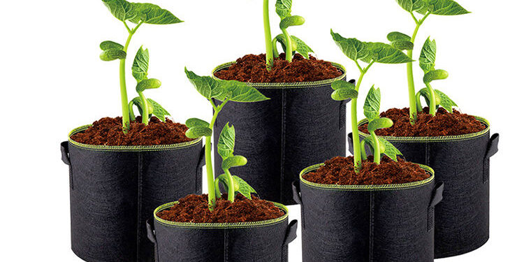 Fabric grow bag for fruit, vegetable, and flower planting