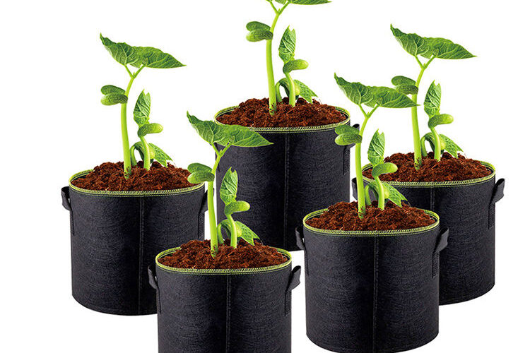 Breathable fabric grow bag for fruit, vegetable, and flower plants (2) Fabric grow bag for fruit, vegetable, and flower planting