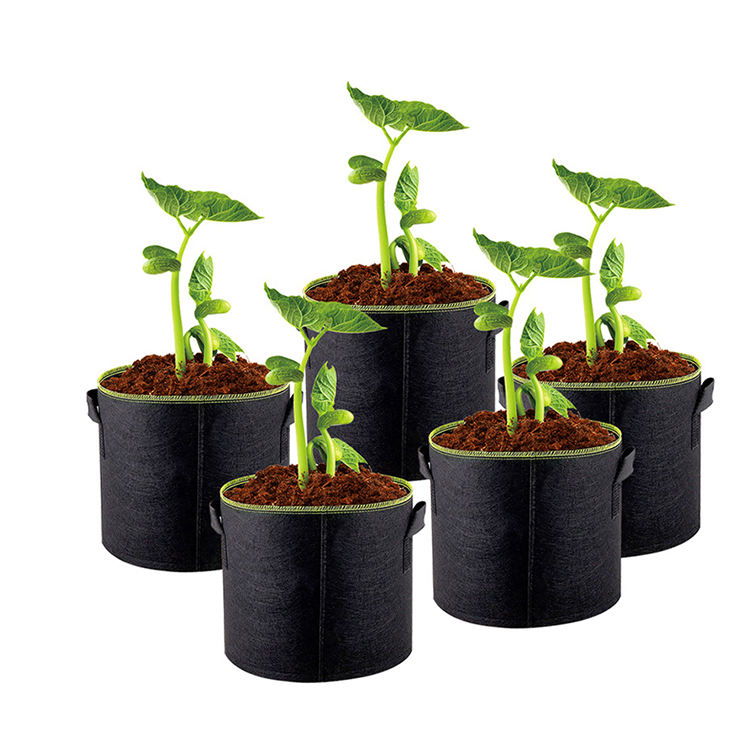 Fabric grow bag for fruit, vegetable, and flower planting