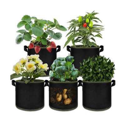 Fabric grow bag for fruit, vegetable, and flower planting