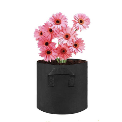 Fabric grow bag for fruit, vegetable, and flower planting