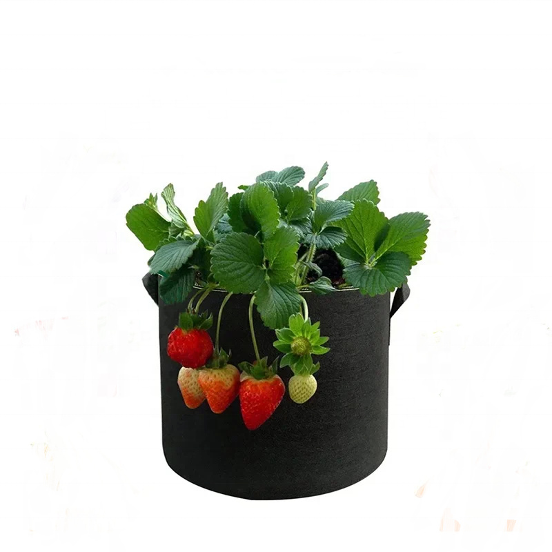 Fabric grow bag for fruit, vegetable, and flower planting