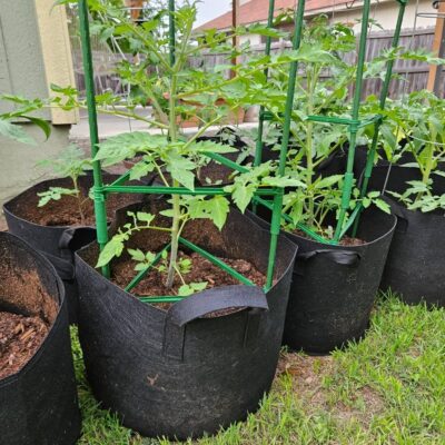 Fabric grow bag for potato and vegetable planting