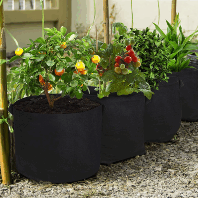 Fabric grow bag for potato and vegetable planting