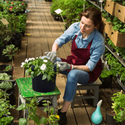 Fabric grow bag for potato and vegetable planting