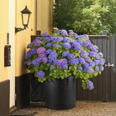 High-quality fabric grow bag for plant growth