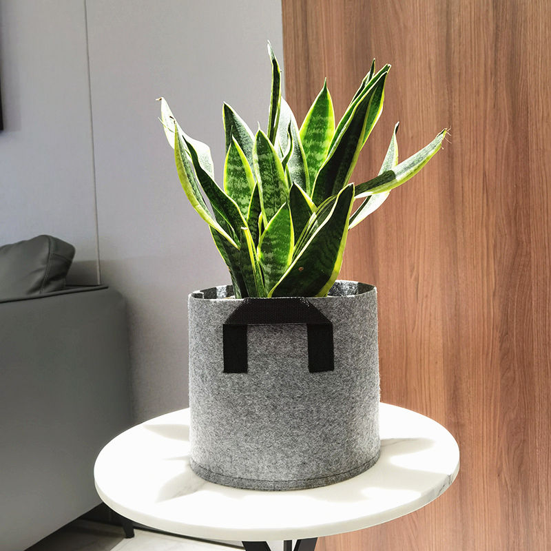 High-quality fabric grow bag for plant growth