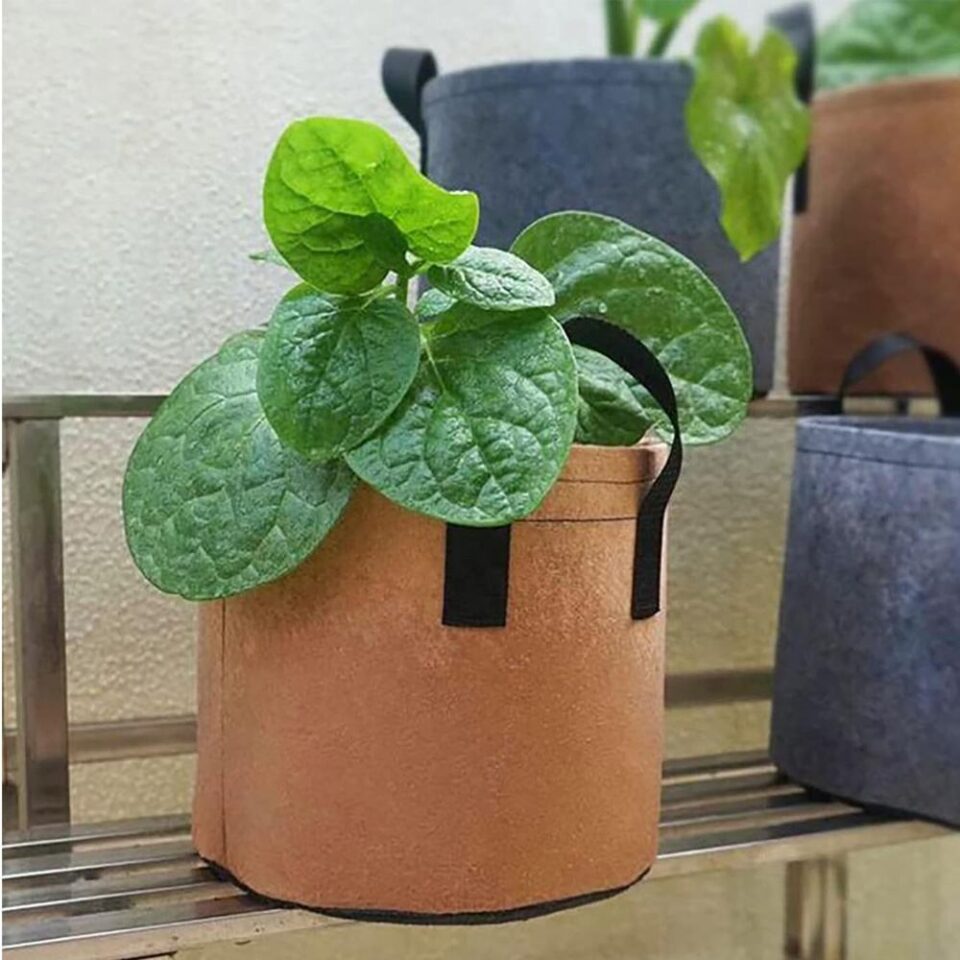 High-quality fabric grow bag for plant growth