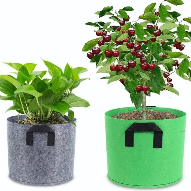 Fabric grow bag for plant growth and gardening use