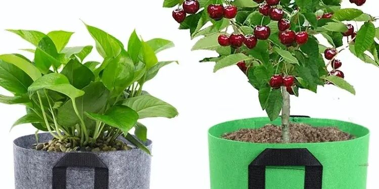 Fabric grow bag for plant growth and gardening use
