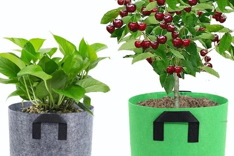 Breathable fabric grow bag for strong plant growth (1) Fabric grow bag for plant growth and gardening use