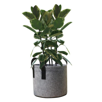 Fabric grow bag for plant growth and gardening use