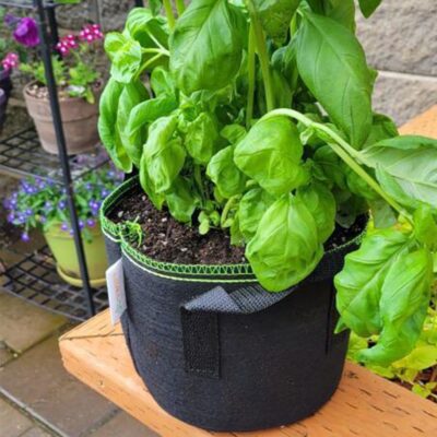 Breathable fabric grow bag for flower planting