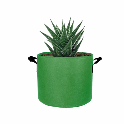 Simple style fabric grow bag for home and garden planting