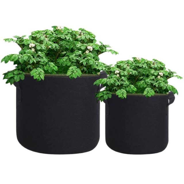 Simple style fabric grow bag for home and garden planting