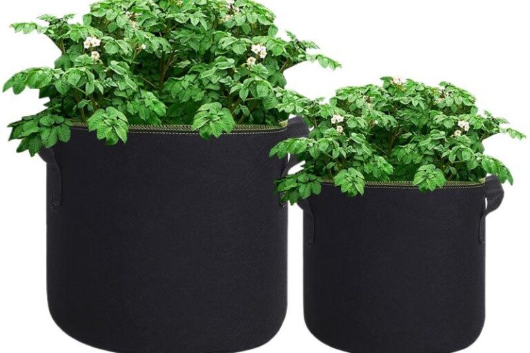 Breathable simple fabric grow bag for gardening (5) Simple style fabric grow bag for home and garden planting