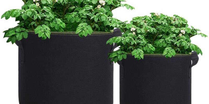 Simple style fabric grow bag for home and garden planting