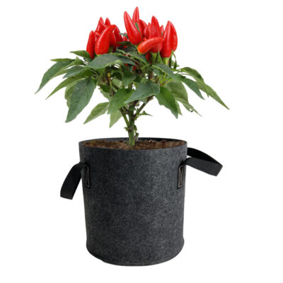 Simple style fabric grow bag for home and garden planting