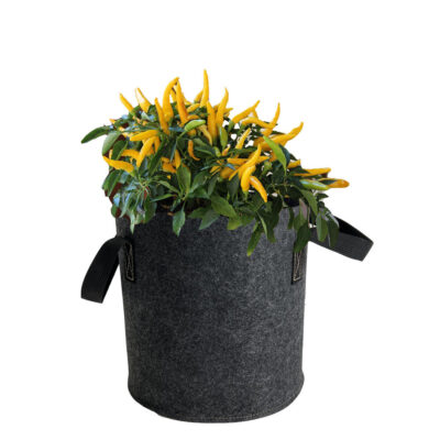 Simple style fabric grow bag for home and garden planting