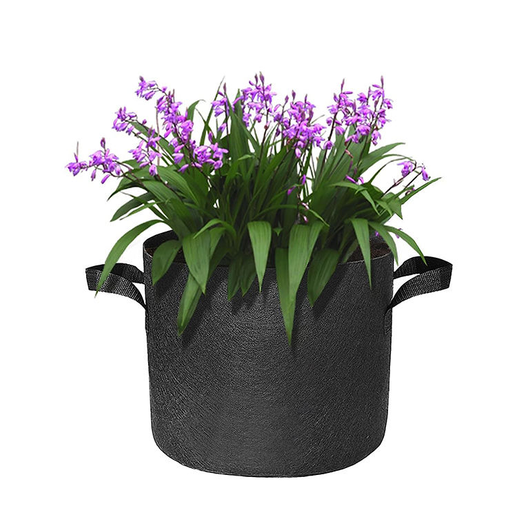 Fabric grow bag for vegetable gardening and planting