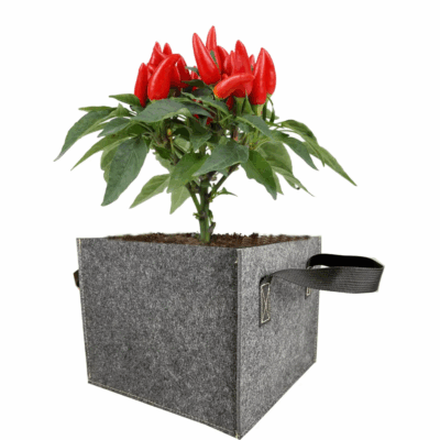 Fabric grow bag for vegetable gardening and planting