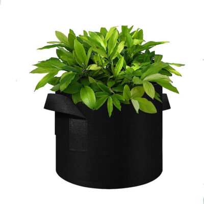 Fabric grow bag for vegetable gardening and planting