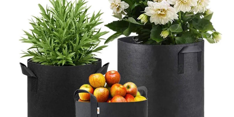 Fabric grow bag for vegetable gardening and planting