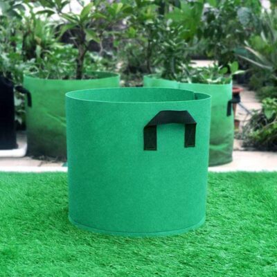 Thickened fabric grow bag for fruit and vegetable planting