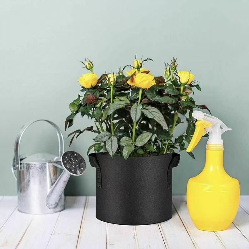 Thickened fabric grow bag for fruit and vegetable planting