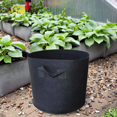 Thickened fabric grow bag for fruit and vegetable planting