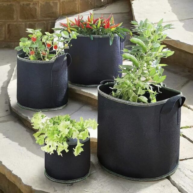 Thickened fabric grow bag for fruit and vegetable planting