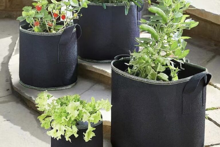 Durable fabric grow bag for fruit and vegetable gardening (6) Thickened fabric grow bag for fruit and vegetable planting