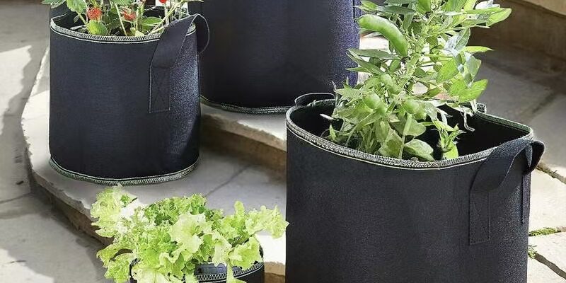 Thickened fabric grow bag for fruit and vegetable planting