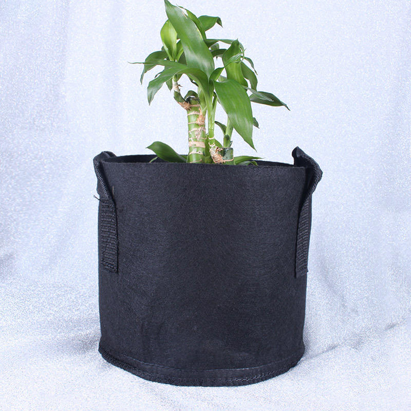 Thickened fabric grow bag for fruit and vegetable planting