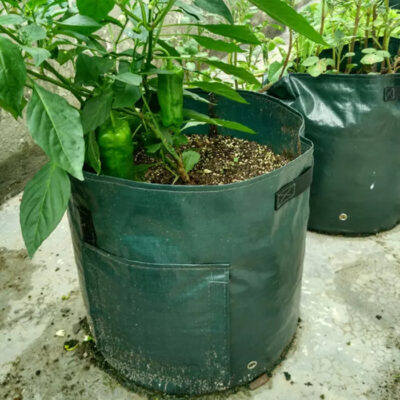 Farm garden plastic grow bag for vegetable planting