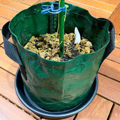 Farm garden plastic grow bag for vegetable planting