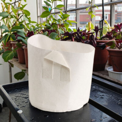 Biodegradable thickened fabric grow bag for sustainable gardening
