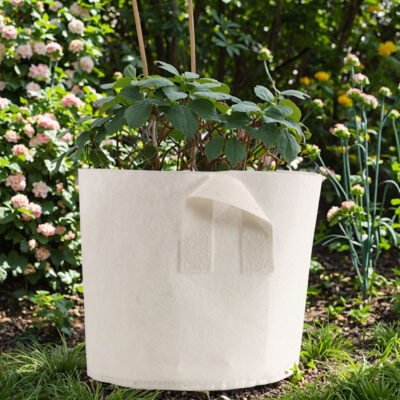 Biodegradable thickened fabric grow bag for sustainable gardening