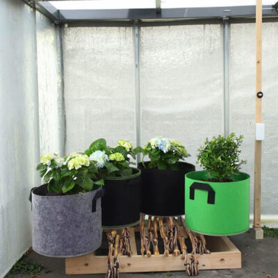 Biodegradable thickened fabric grow bag for sustainable gardening