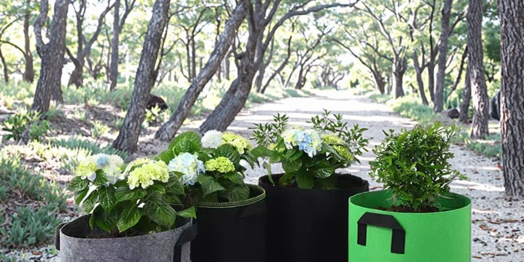Biodegradable thickened fabric grow bag for sustainable gardening